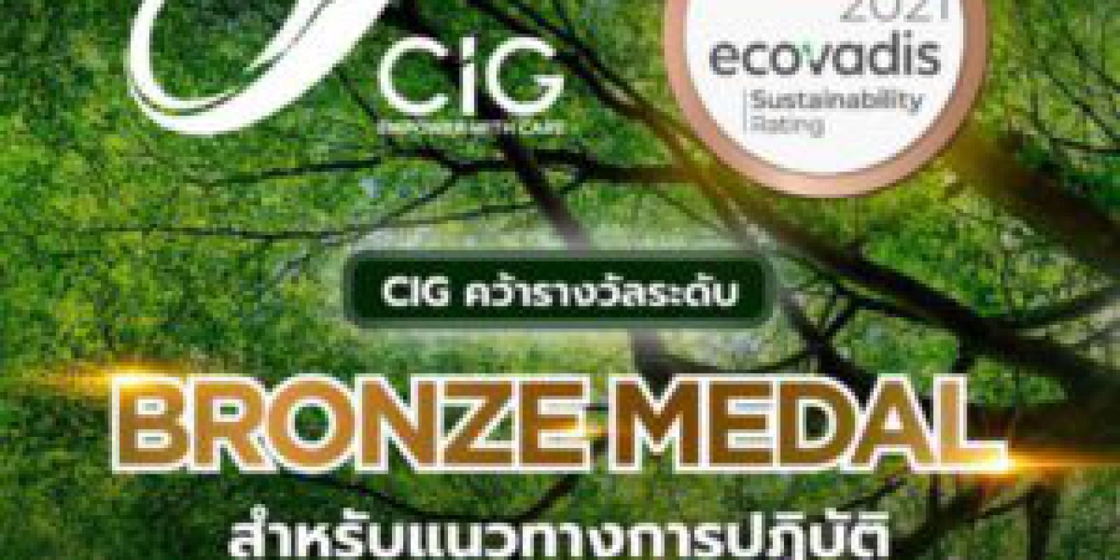 EcoVadis